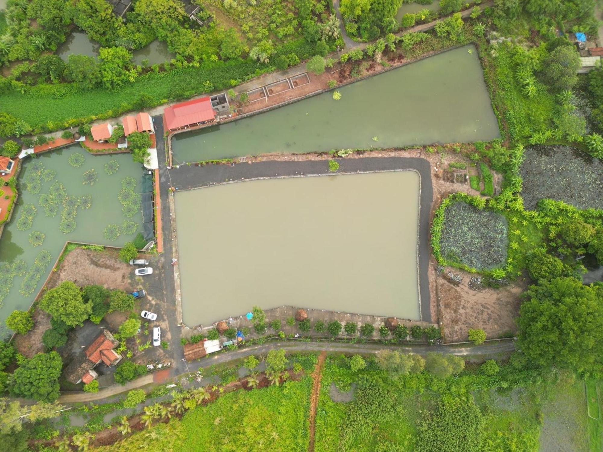 Tam Coc Cat Luong Homestay Ninh Binh Exterior photo